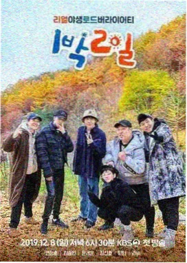 去往小城 旅行慢综艺免费观看